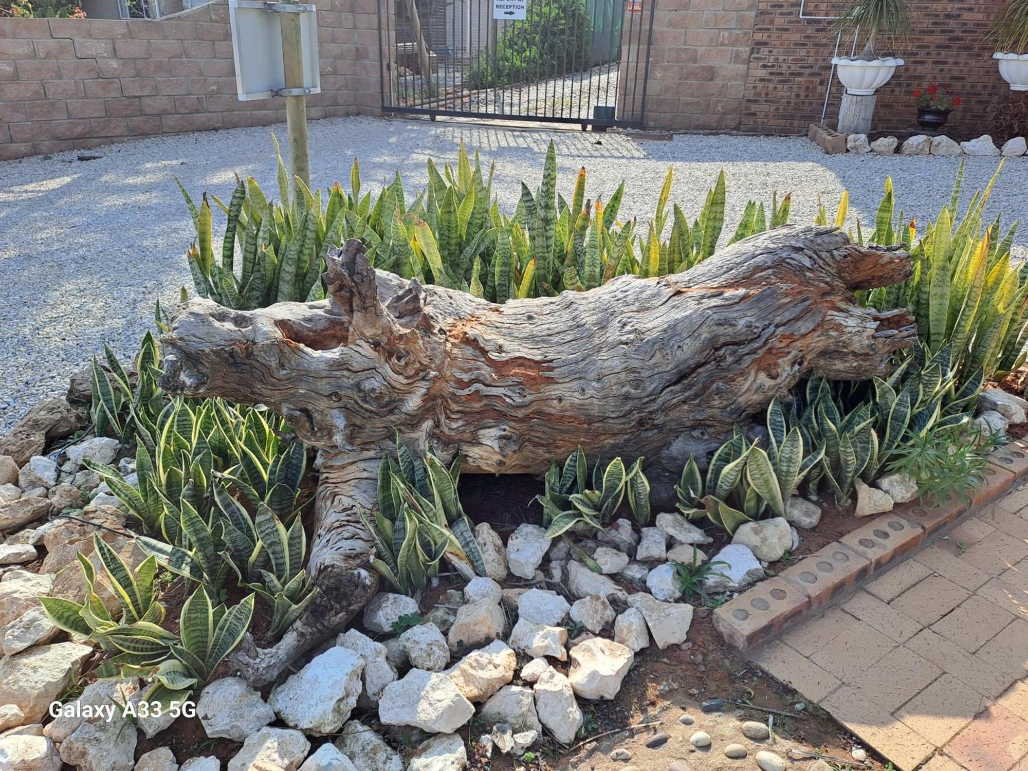 The Golden Grape B&B Lutzville Dış mekan fotoğraf